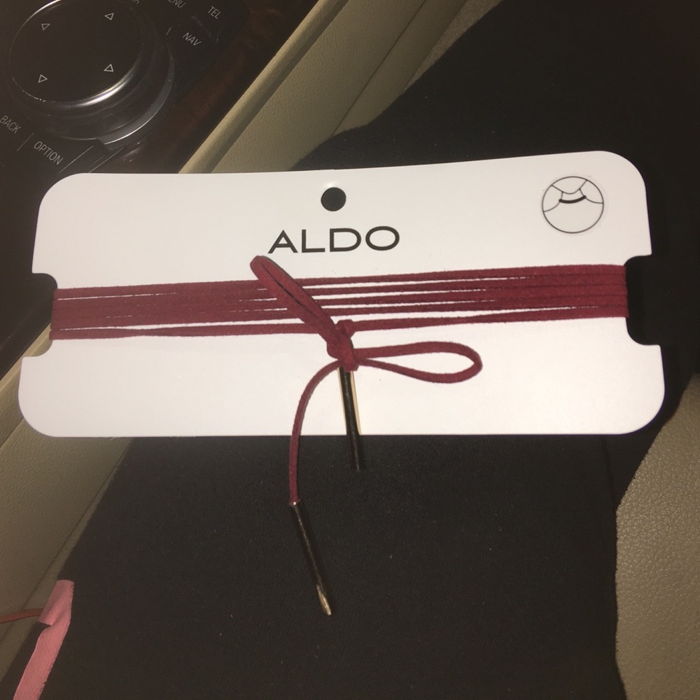 Aldo Choker Necklace
